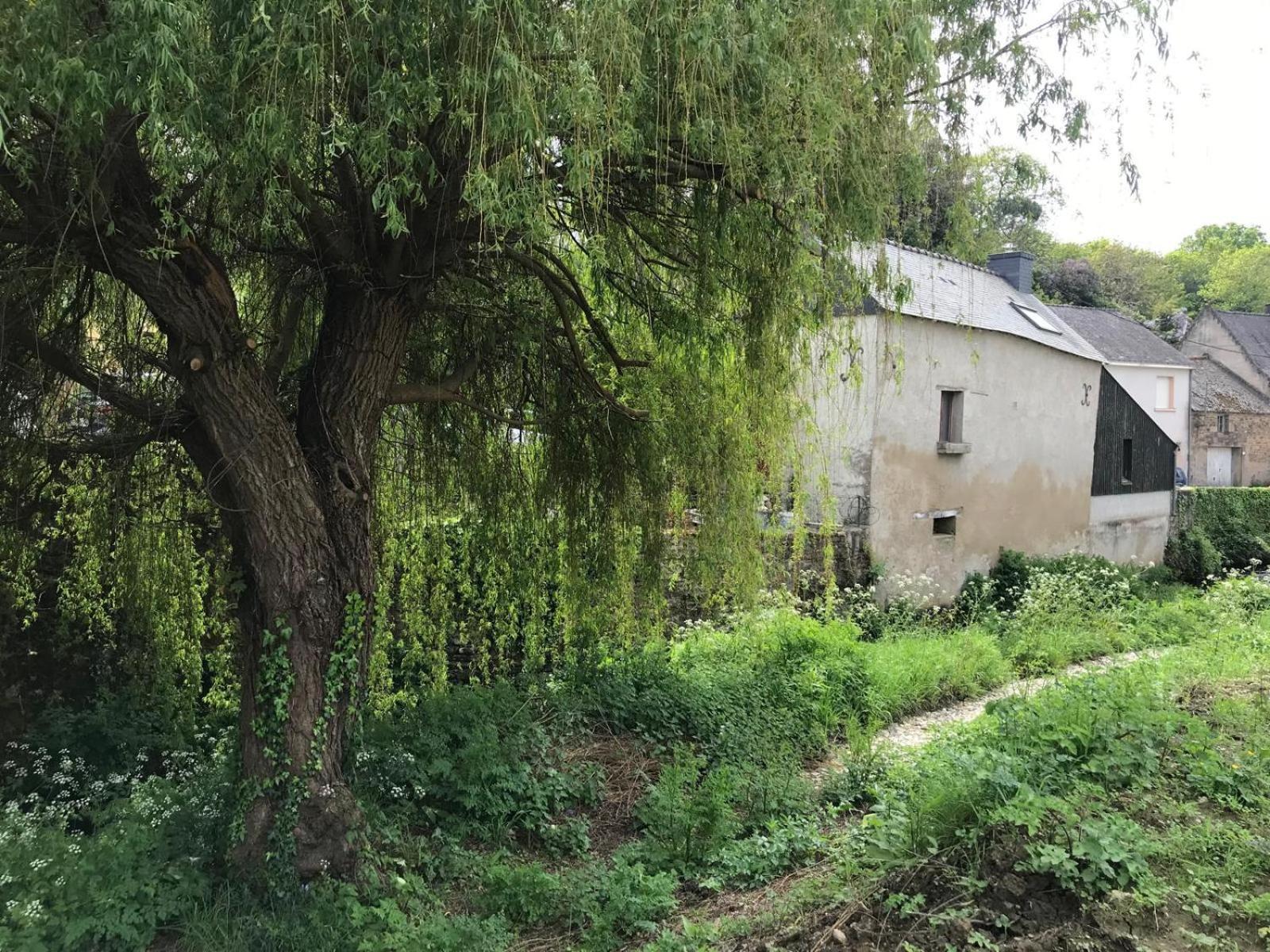 Villa Le Moulin De La Voute La Roche-Bernard Esterno foto